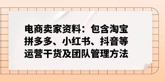 （14354期）电商卖家资料：包含淘宝、拼多多、小红书、抖音等运营干货及团队管理方法-东升网创