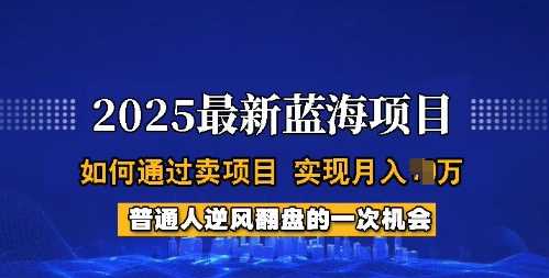 2025蓝海项目，普通人如何通过卖项目，实现月入过W，全过程【揭秘】-东升网创