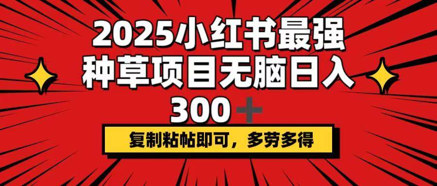 （14375期）2025小红书最强种草项目，无脑日入300+，复制粘帖即可，多劳多得-东升网创