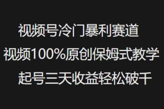 视频号冷门暴利赛道视频100%原创保姆式教学起号三天收益轻松破千-东升网创