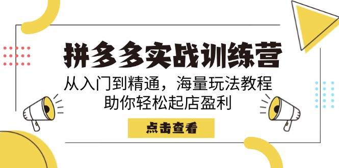 （14392期）拼多多实战训练营，从入门到精通，海量玩法教程，助你轻松起店盈利-东升网创