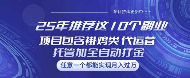 25年推荐这10个副业项目包含褂鸡类、代运营托管类、全自动打金类【揭秘】-东升网创