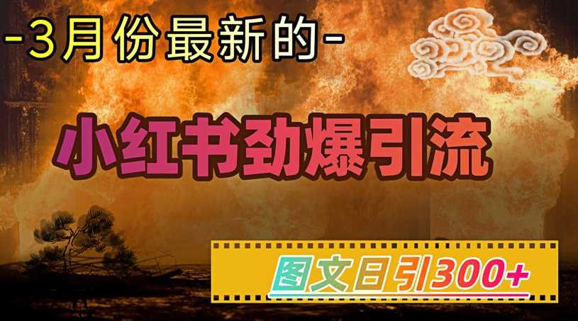 小红书超劲爆引流手段，图文日引300+轻松变现1W-东升网创