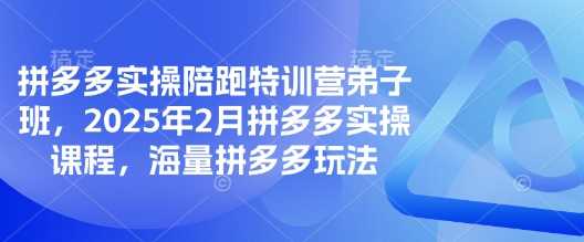 拼多多实操陪跑特训营弟子班，2025年2月拼多多实操课程，海量拼多多玩法-东升网创