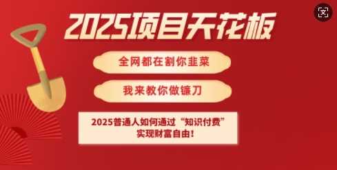 2025项目天花板普通人如何通过知识付费，实现财F自由【揭秘】-东升网创