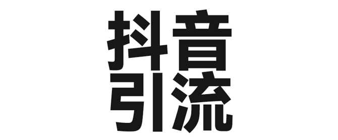 2025年抖音最新暴力引流法，只需一个视频加一段文字，简单操作，单日引300+创业粉-东升网创