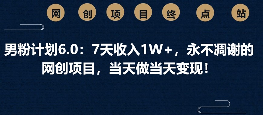 男粉计划6.0：7天收入1W+，永不凋谢的网创项目，当天做当天变现！-东升网创