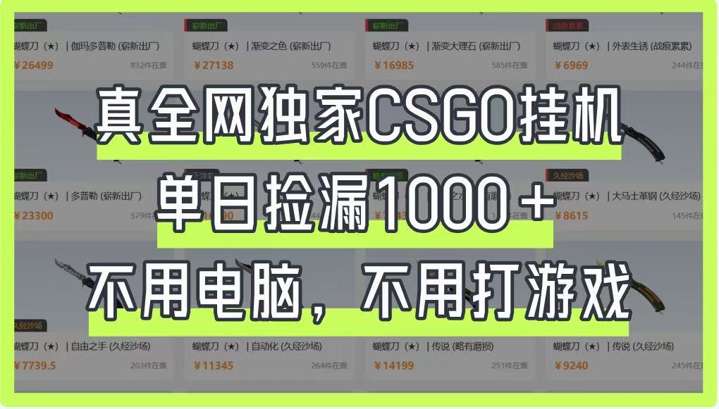 真全网独家CSGO挂机，单日捡漏1000+，不用电脑，不用养号-东升网创