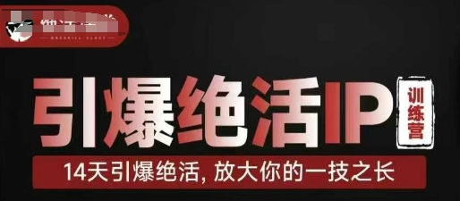 引爆绝活IP训练营，14天引爆绝活，放大你的一技之长-东升网创