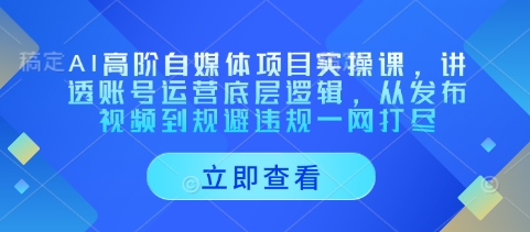 AI高阶自媒体项目实操课，讲透账号运营底层逻辑，从发布视频到规避违规一网打尽-东升网创