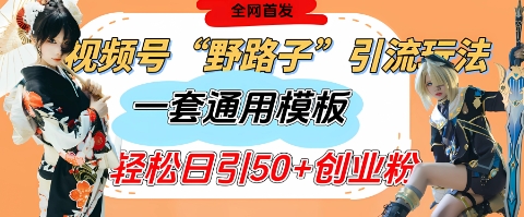 视频号“野路子”玩法，评论区疯狂截流，一套模板单日单号引流50+创业粉-东升网创