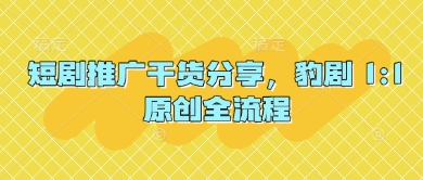 短剧推广干货分享，豹剧 1:1原创全流程-东升网创