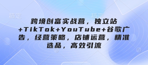 跨境创富实战营，独立站+TikTok+YouTube+谷歌广告，经营策略，店铺运营，精准选品，高效引流-东升网创