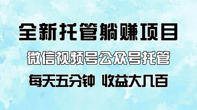 （14425期）全新托管躺赚项目，微信视频号公众号托管代运营，每天五分钟，收益大几百-东升网创