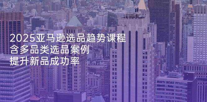 （14434期）2025亚马逊选品趋势课程，含多品类选品案例，提升新品成功率-东升网创