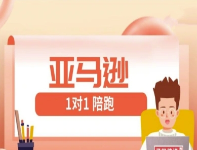 亚马逊1对1陪跑课(FBA/FBM精铺)跨境亚马逊教程-东升网创