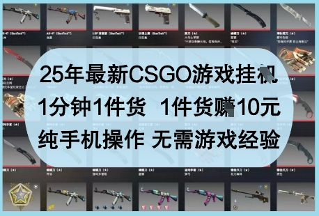 25年最新CSGO游戏挂G，1分钟1件货，1件货挣10元，纯手机操作，无需游戏经验【揭秘】-东升网创