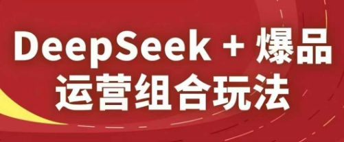 DeepSeek+爆品运营组合玩法，2025淘系精品课-东升网创