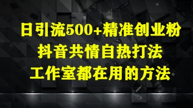 日引流500+精准创业粉，抖音共情自热打法，工作室都在用的方法-东升网创