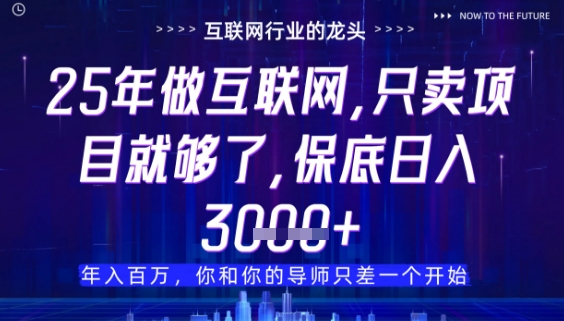 什么！25年你还在找项目做？风口早就变了，卖项目才是稳挣不赔【揭秘】-东升网创