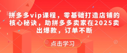拼多多vip课程，零基础打造店铺的核心秘诀，助拼多多卖家在2025卖出爆款，订单不断-东升网创
