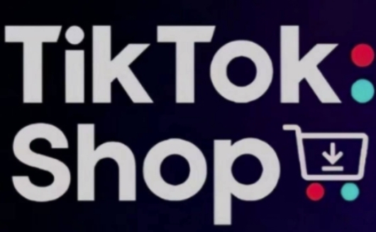 TikTokShop跨境电商0-1实战，手把手教你低成本启动海外市场（更新）-东升网创