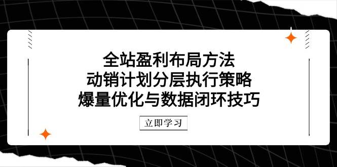（14698期）全站盈利布局方法：动销计划分层执行策略，爆量优化与数据闭环技巧-东升网创