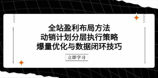 全站盈利布局方法：动销计划分层执行策略，爆量优化与数据闭环技巧-东升网创
