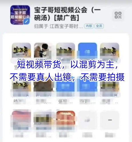 宝子哥头部团队短视频带货，以混剪为主，不需要真人出镜，不需要拍摄-东升网创