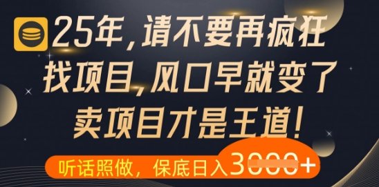 什么？25年你还在疯狂找项目做，醒醒吧，看完这些你全都懂了【揭秘】-东升网创