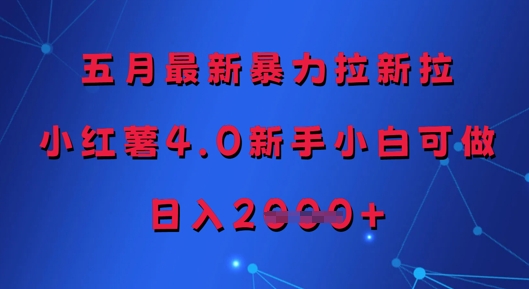 五月最新暴力拉新拉，小红薯4.0新手小白可做，日入多张-东升网创