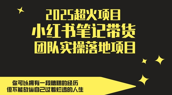 2025超火项目，副业最佳选择，小红书笔记带货团队实操落地项目，，轻松日入5张-东升网创