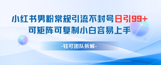 小红书男粉常规引流不封号日引99+变现简单 可矩阵可复制小白容易上手-东升网创