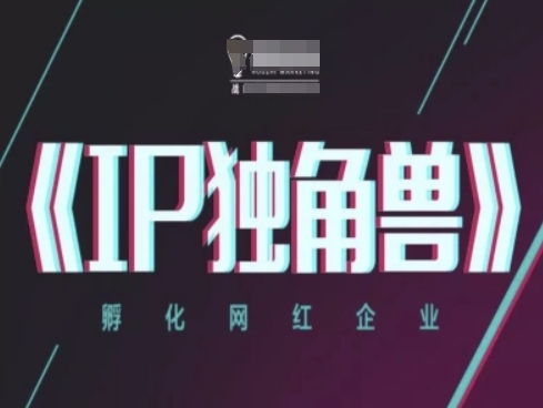IP独角兽，孵化网红企业，ip教程-东升网创