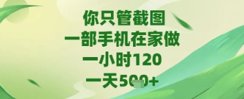 你只管截图，一部手机在家做，苹果安卓都可以，一天5张+【揭秘】-东升网创