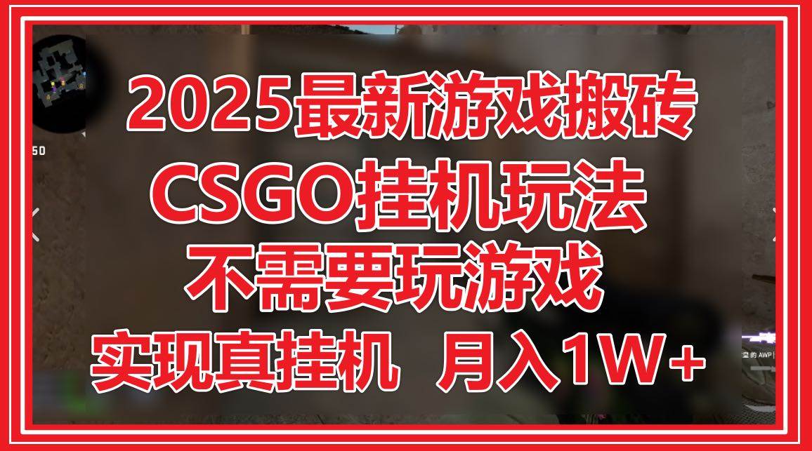 （14743期）2025最新游戏搬砖，CSGO挂机，不需要玩游戏，实现真挂机，月入1W+-东升网创