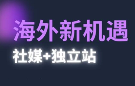 2025出海新机遇(社媒+独立站)，海外新机遇，实现独立站的高效运营与出海-东升网创