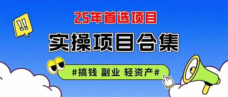 （14767期）2025实操项目合集 挂机类型 直播类型 轻资产创业类型 课程分享各项目介…-东升网创
