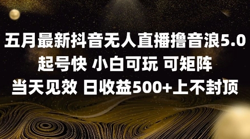 2025五月最新无人直播撸音浪单日产出5张+实操教程【揭秘】-东升网创