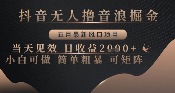 抖音无人撸音浪掘金，五月最新风口项目，当天见效，日收益多张，小白可做简单粗暴可矩阵【揭秘】-东升网创
