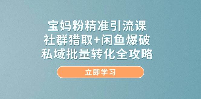 宝妈粉精准引流课，社群猎取+闲鱼爆破，私域批量转化全攻略-东升网创