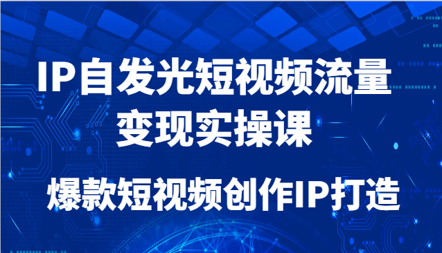 IP自发光短视频流量变现实操课，爆款短视频创作IP打造-东升网创
