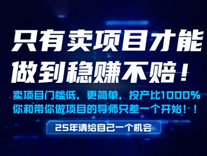 只有卖项目才能做到稳挣不赔，门槛低，更简单，你也可以年入百个W【揭秘】-东升网创