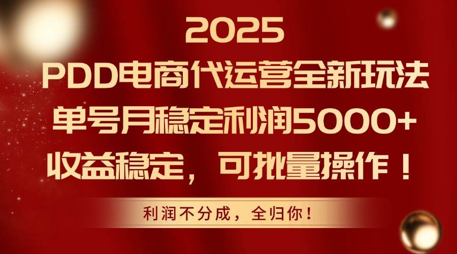 （14839期）2025PDD电商代运营全新玩法，单号月稳定利润5000+，收益稳定，可批量操作-东升网创