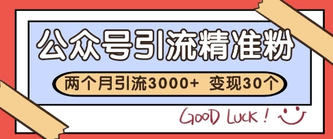 公众号精准粉引流玩法，2个月3000+精准粉，变现30个W【揭秘】-东升网创