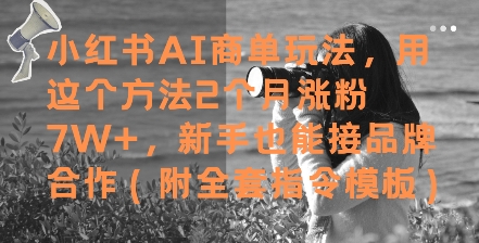 小红书AI商单玩法，用这个方法2个月涨粉7W+，新手也能接品牌合作(附全套指令模板)-东升网创