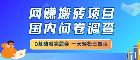 网创搬砖项目，国内问卷调查，小白轻松上手，一天三四张的也不难，干就完了【揭秘】-东升网创