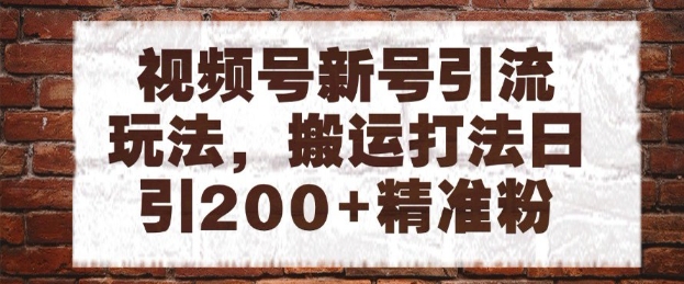 视频号新号引流玩法，搬运打法日引200+精准粉，可矩阵放大【揭秘】-东升网创