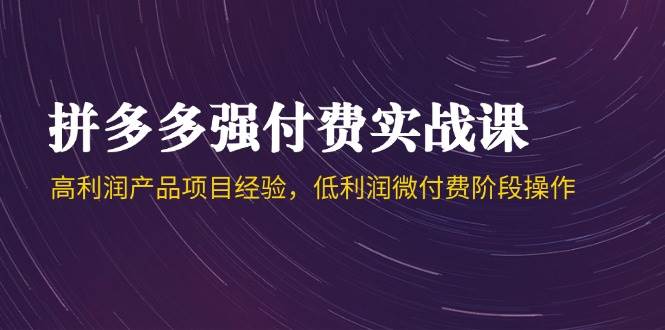 （14874期）拼多多强付费实战课-44期，高利润产品项目经验，低利润微付费阶段操作-东升网创