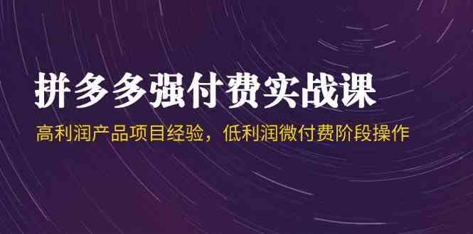 拼多多强付费实战课-44期，高利润产品项目经验，低利润微付费阶段操作-东升网创